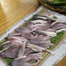 남도갯뻘 이미지