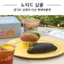 노티드 다산 현대아울렛