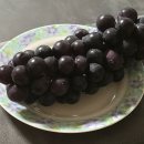 천우농원