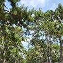 새보성식당 이미지