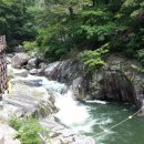 방화동 생태길 이미지