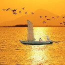 황포돛대 - 화성시 | 황포돛대