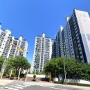 관악-현장-관악-06-50 | 관악구 신림동 방충망 교체 삼성산주공아파트 미세 발수 방충망 교체 시공 후기