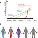어딘가 저리고 마비가 있을 때 peripheral neuropathy 감별법 2020 최신 논문 이미지