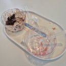 마이요거트립구리