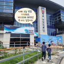 미디어포스 | 아이와 가볼 만한 곳, 미디어 아트와 카리브해 해적선 체험이 가득한 '자롤로 뮤지엄' 방문 솔직 후기!