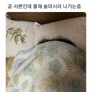 곧 서른인데 몰래 술마시러 나가는 중 이미지