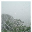 하얀통신 - 의왕시 경수대로 236 | 하얀통신