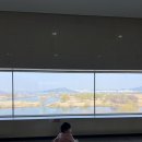 달성습지 생태 학습관 | 달성습지를 한 눈에 볼 수 있는 달성습지생태학습관 17개월 아기랑 다녀온 후기