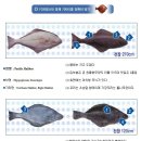 미류 이미지