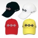 디알지(DRG) 이미지