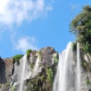 천지연폭포 이미지