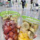 (주)코리아세븐 화성보통점 | 트레이더스 스무디 후기 일본 편의점 스타일 직접 갈아먹는 스무디