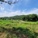 자인 행정사 이미지