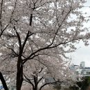 문막읍 건등로 | 원주 문막 맛집 추천, 현지인이 인정한｜예지현 문막점