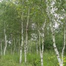 석영2호 이미지