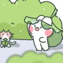 얌이얌이