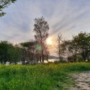 장암금강변 이미지