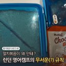 킹스톤글로벌 | 런던캠프 갈 때 '멸치볶음' 도시락 싸주면 안되는 이유?