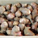 감자수북 이미지