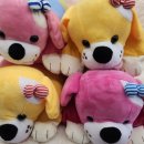 예담 세탁 이미지