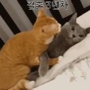 공감 이미지