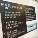 안양돈 티스토리