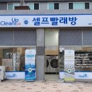 진아리채세탁 이미지