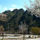 홍천 강가애 이미지