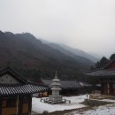 구룡사 삼장탱화 및 복장유물 이미지