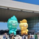 모자정육