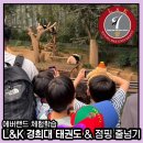 L&K 경희대태권도 & 점핑줄넘기 개포본원 이미지