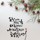 도토리의꿈 이미지