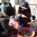 여러가지장터 이미지