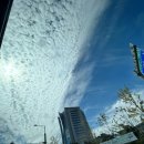 풍전쭈꾸미 이미지