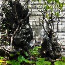 카페테리아 이미지