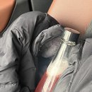 스코비아일랜드 이미지