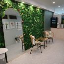 숲속세신 이미지