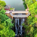 제천시 의림지 주차장 이미지