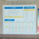 장고도어촌체험휴양마을 | 섬 트레킹 명소- 군산섬잇길 1박2일 트레킹 1일차(방축도, 광대도 트레킹/어촌 체험 휴양 마을 후기)