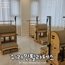 쉬라인필라테스 | 쉬라인 필라테스 병점점 4:1 그룹 수업 솔직 후기 - 꼼꼼한 교정과 효과적인 전신운동