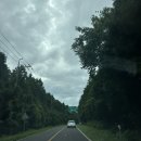 밀림아구탕 | ~고요정 in Jeju(2) + 젠하이드어웨이 숙소 후기~