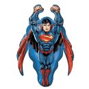 머슬뱅크짐 이미지