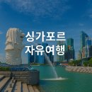 영국으로 떠나는 여행영어 | 싱가포르 자유여행으로 떠나는 완벽한 여행 가이드