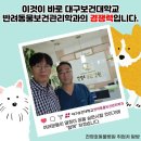 전영호 동물병원 이미지