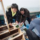 외연도마을회관 이미지