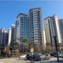 롯데캐슬아파트 버스정류장 이미지