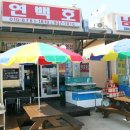 연백호
