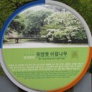 밀양 위양못을 가다 - 김동원, 김상환 시인 이미지