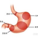 와이즈24시동물병원